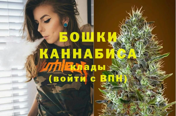 молекула духа Новодвинск