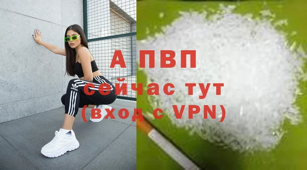 молекула духа Новодвинск