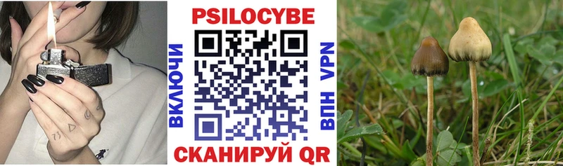 Псилоцибиновые грибы Cubensis  kraken вход  Суоярви 